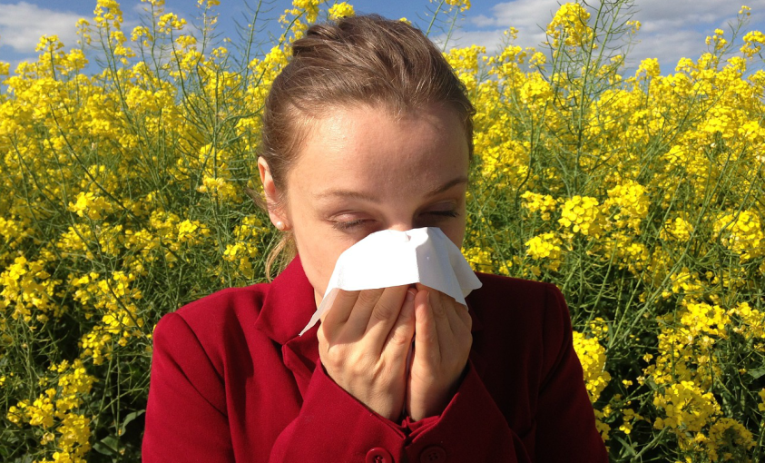 allergie di primavera